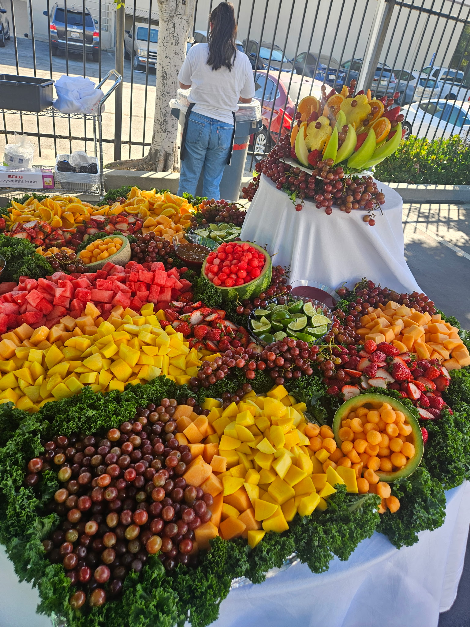 Large outdoor fruit catering display